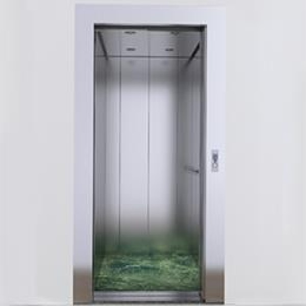 Elevador residencial interno